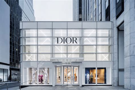 dior deutschland online shop.